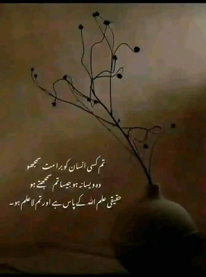 Faryal Chohan tweet media