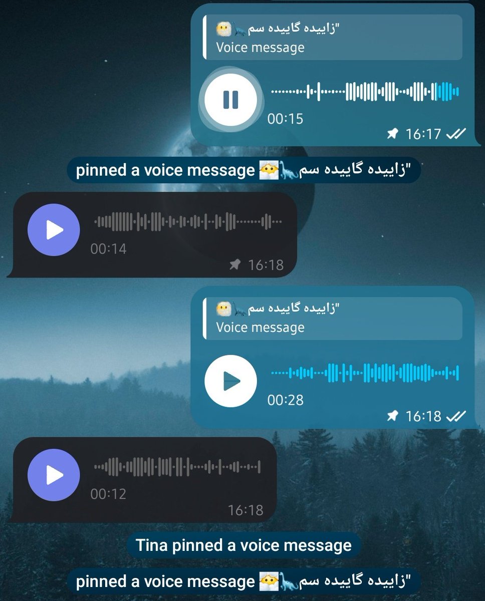 Tinawman's tweet photo. فقط در همین حد توضیح بدم که دیروز من چندتا ویس از صدا قشنگای آموزشگاه فرستادم و رزا شروع کرد مسخره بازی و منم شروع کردم به همراهی ، اینطوری که آهنگای دهه شصتی و با صدای مسخره میخوندیم تا اینکه یهو تصمیم گرفتیم تیپ خز بزنیم و ویدیو بگیریم🤌🏼😔
همین قدر رندوم و غیرقابل پیش‌بینی😂 https://t.co/E4pYYLaNsq