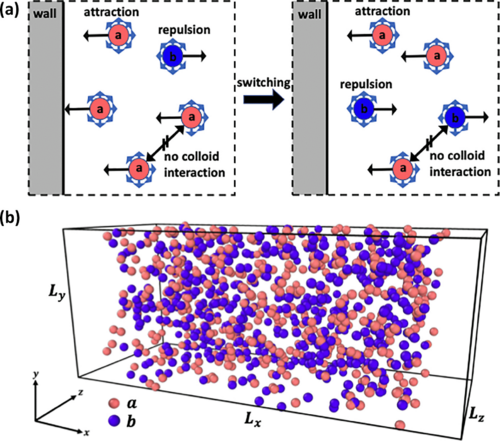 PhysRevE's tweet photo. Tuning nonequilibrium colloidal structure in external fields by density-dependent state switching, Lennart Heinen, Sébastien Groh, and Joachim Dzubiella #BioInspiredMaterials https://t.co/hc7Zs7MK4Z https://t.co/x6YUXv605s