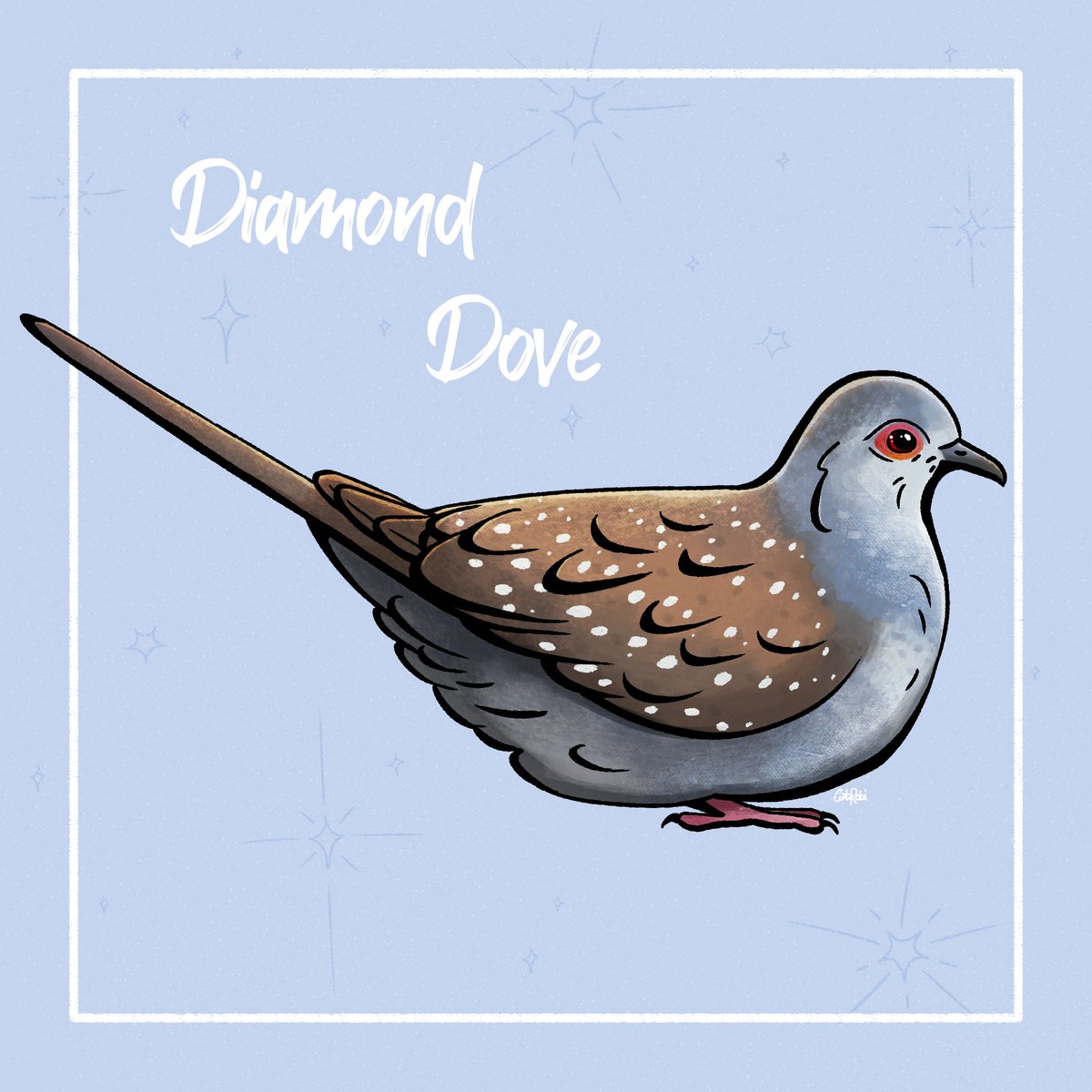 CatRobi2's tweet image. #AvianAugust2024 💎