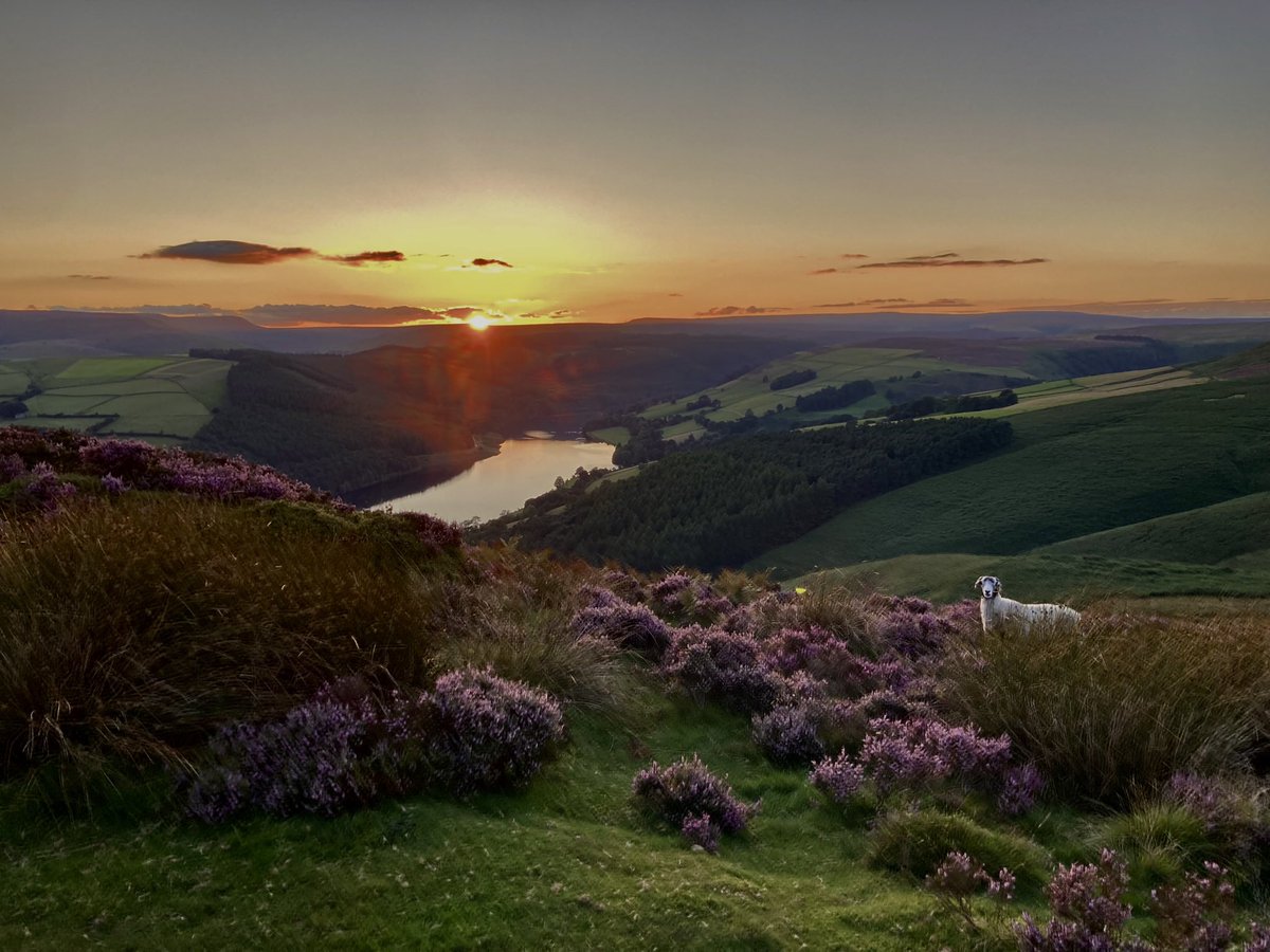 halseyhands tweet media