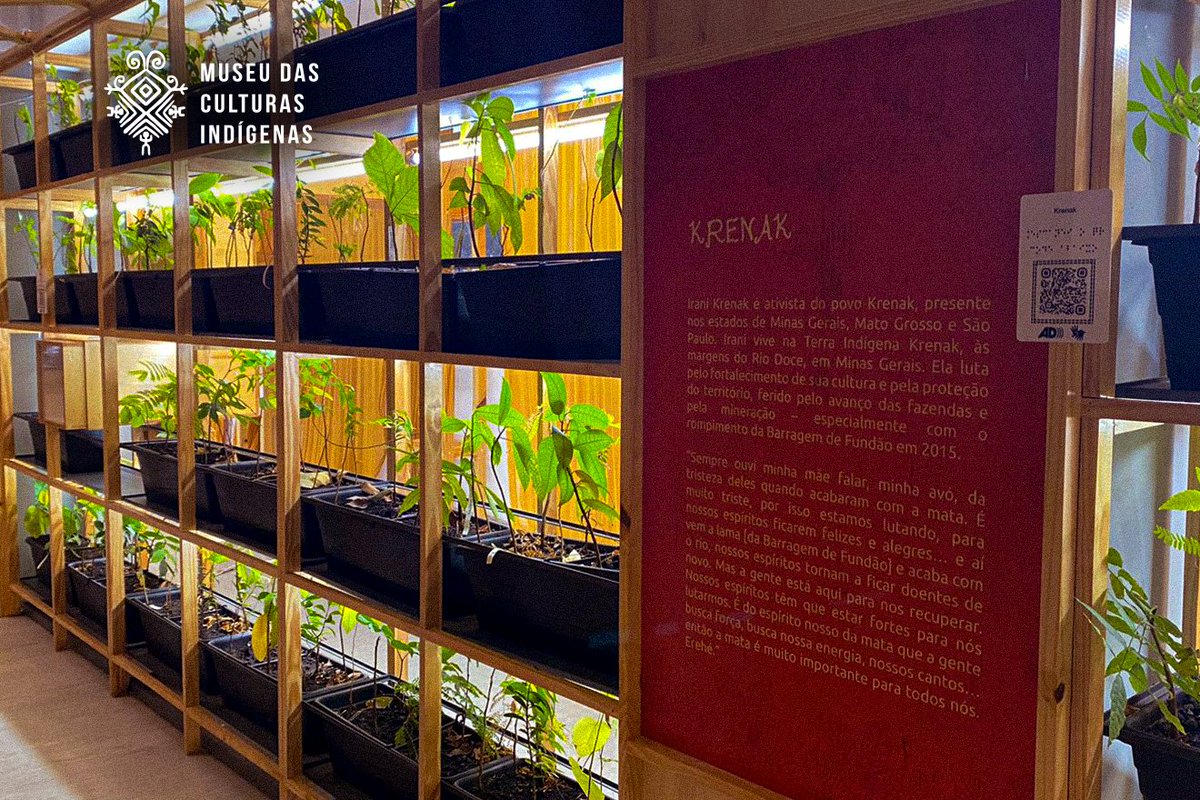 Confira momentos da montagem da exposição Nhe’ẽ ry, em 2023, aqui no MCI. 💚 Nhe’ẽ ry é uma forma de entender a dimensão da floresta, um santuário que pode se transformar em um portal. Saiba mais: museudasculturasindigenas.org.br/exposicoes/exp…

#MCI #Guarani #Espiritualidade #Exposição #CultSP