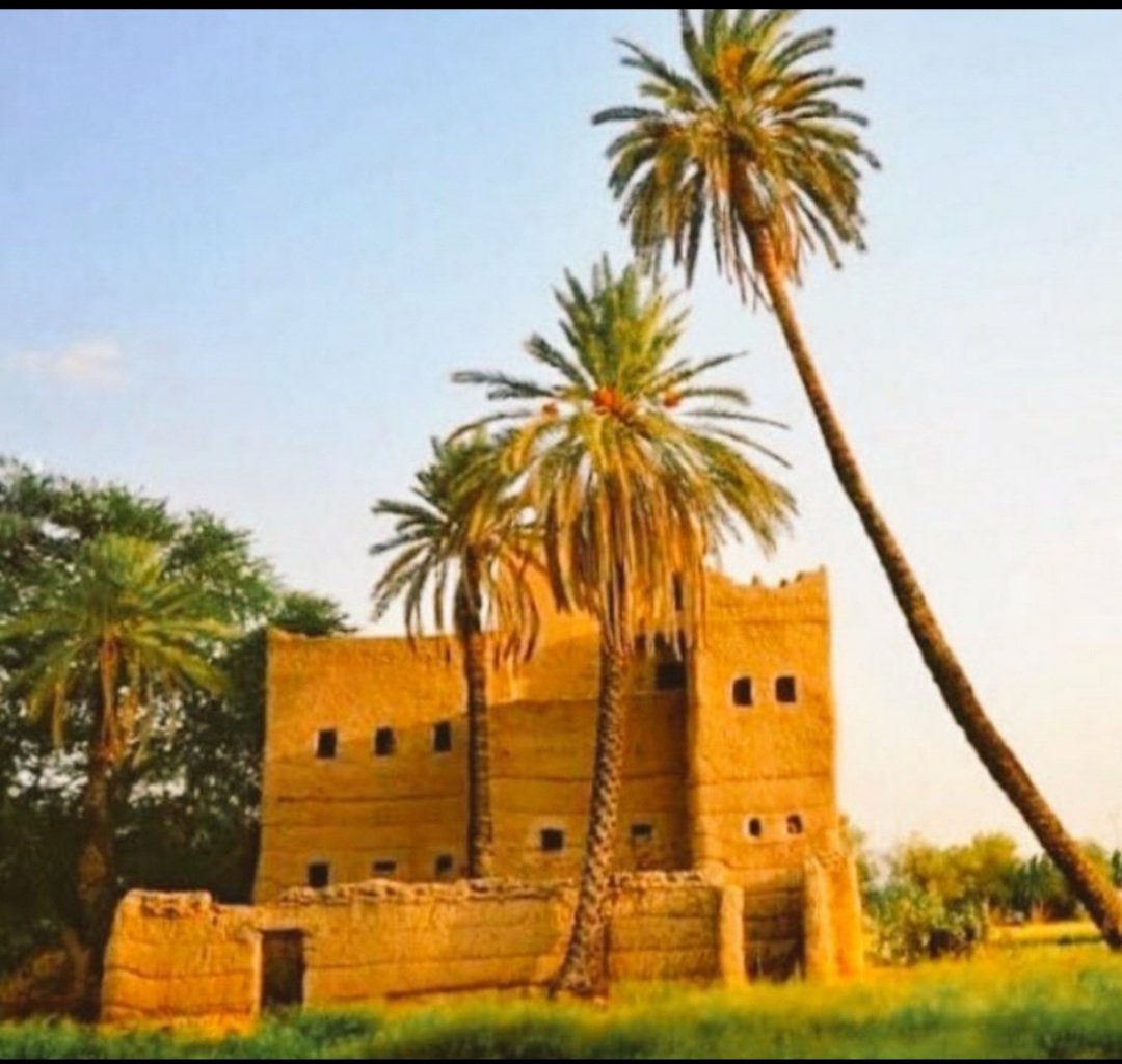 HDeaij's tweet photo. "لدّي النظر" 
لدّي النظــــــر بالحيل يابنت  تكفين/   
خليني أسلــــى في طريق "الصداوي"
 لا تجرحيني داخل القلــــب جـــــــرحين/ 
ماني على الجرحين يا بنت قــــاوي
اللي ذبحني لثمة فــوق خدين/ 
وشوف الهدب ساجي وأنابه شقاوي
من شـوفتي للزين هيضـت يازين/
 وشهقـت شهقه ماشهقــها     "الهواوي" 
على حبيب راح في عصــر الأثنين/ 
أومى بكفّه وانتحـــــى للمــــلاوي
جـرح مكن بالقلــــب من غربة سنين/
وعرضت حالــــــي للطبيب " الرخاوي"*
 قال الطبيب أحــذر ولا تطــرد البين/ 
امســــك طريقــــــــك في دروب النقاوي
 بهـــاك الزمـــــان ادروبنا زين في زين/
 ونامت جروحي بالضلوع  المطاوي 
واليوم لاح الطـيف وانباح ســــــدين/
سدّي وســــــده بالجــروح الغطاوي
فوق"المطل"لاحت شبوحات "رمحين"/
والصاحب اللي طل ماهـوب ياوي
ريّض عساك الخير ياداعـج العين/
شوف الهدب بالطرف بالحيل ثاوي
مادام هيّجـت المشــاعر بسهمين/
سهــم رماني وسهـم عني نحاوي
يا عين ظــبي راتع بالبســاتين/ 
يازول ريـــم ذيروه الشـــواوي 
لاكنّها من جــول هــــاك المحبين/
ترقد على غصـن من أيام ذاوي
يا هيه أبعـد لا تجي بعـد بعدين/ 
معادلي بك يا "مطـل" الهقاوي
 ياليتنــي يم الربوع المــوالين/
في روضة"أم شقــوق" يم  "الفراوي" 
أشوف بالروضـه زهـــــور ورياحين/
والعين كـنّه مـــــــن عيون النداوي 
وداعـة الله يا دروب غدت وين/
وداعــة الله والمحـــبه  هقاوي
**********
حمد الدعيج
"نديم كميت"
6/4/1437هـ
*الرخاوي طبيب في الرياض قديما..