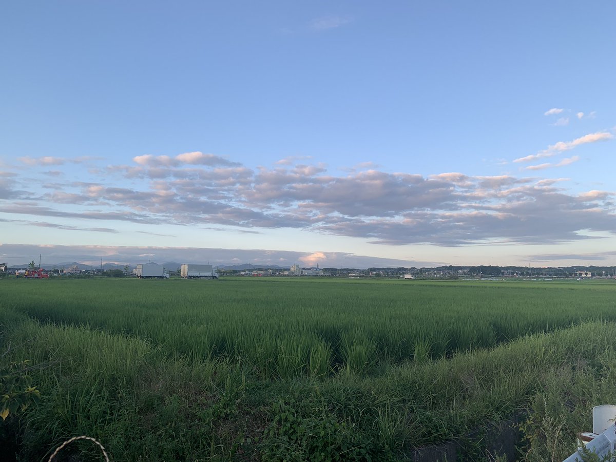 お友達がお祭りの舞台に出るからと、久しぶりに現地へ行く。
お友達の名前を叫んだら、前でビデオを撮っている人が振り向いて私を見た。
　おばちゃんの声が入っちゃったね。
ごめんちゃい。😅😅😅
真上に花火が上がって，わぁーーー。
わぁーーー。うさぴょんもびっくり。