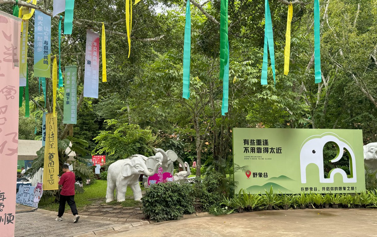 John E. Scanlon AO tweet media