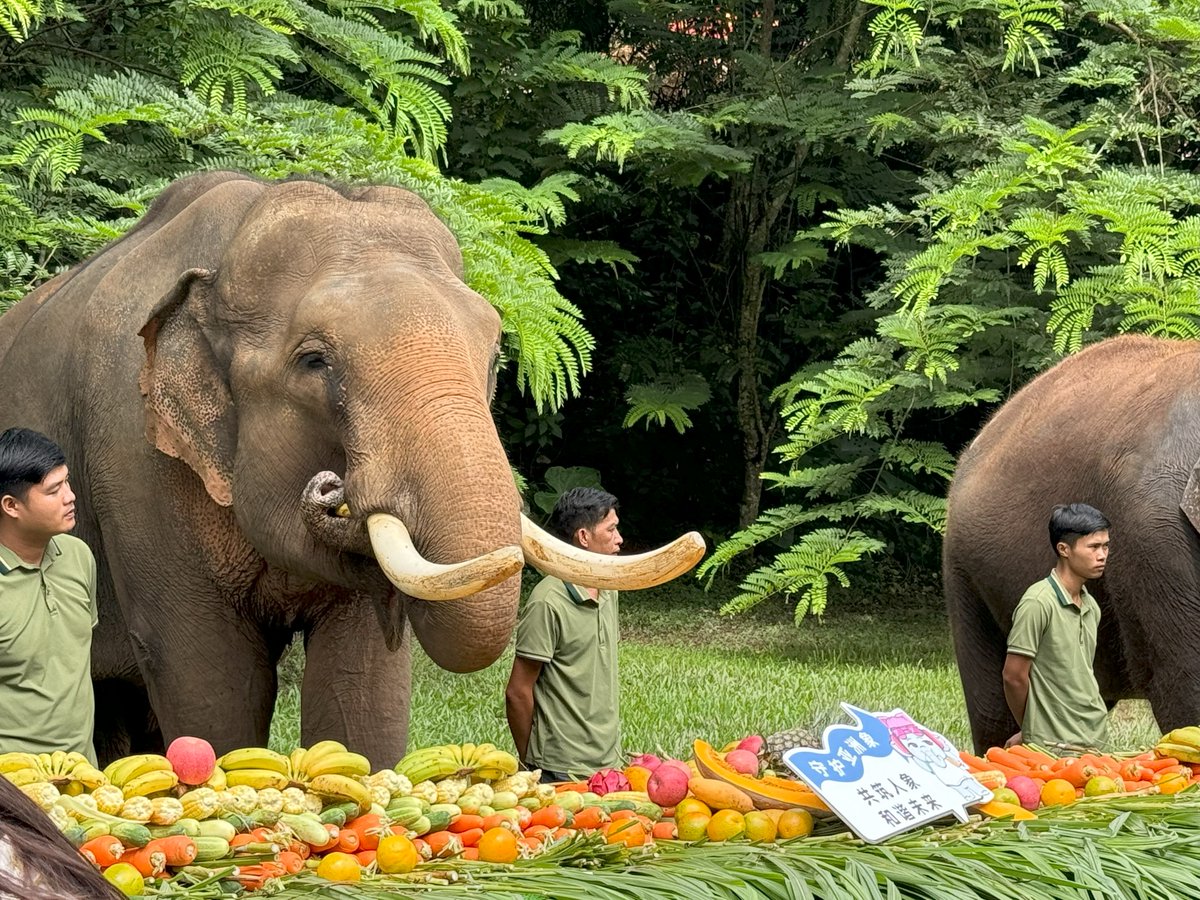 John E. Scanlon AO tweet media