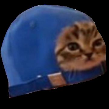 CatCapCTO's tweet photo. No $CAP https://t.co/mrqP0WbBtM