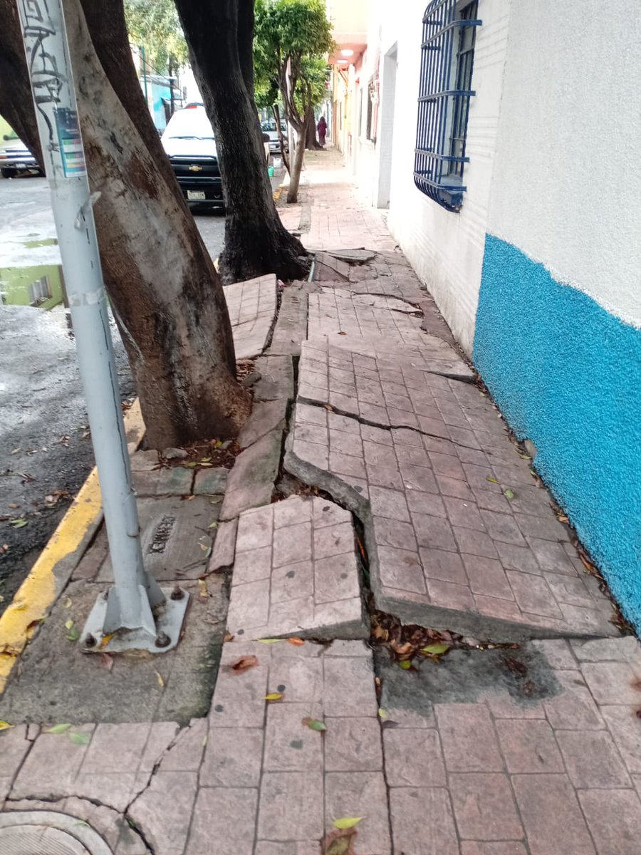 hectorvj76's tweet photo. @MHcesac quiero reportar estos arboles a punto de caer, tiene mucho follaje y las raices ya levantaron las banquetas. Calle Lago Constanza No.99 entre lago Bolsena y Lago Trasimeno col. Lago Norte. @telediario https://t.co/Sw4EW2XGY7