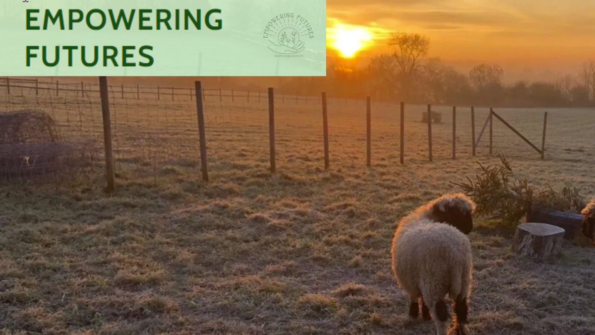 Great to be working with the brilliant Empowering Futures, who use farming and horticulture to help the vulnerable, disadvantaged and disabled in their community to improve their lives.
#Alternative #Autism #Provision #ThisisAP #SEND