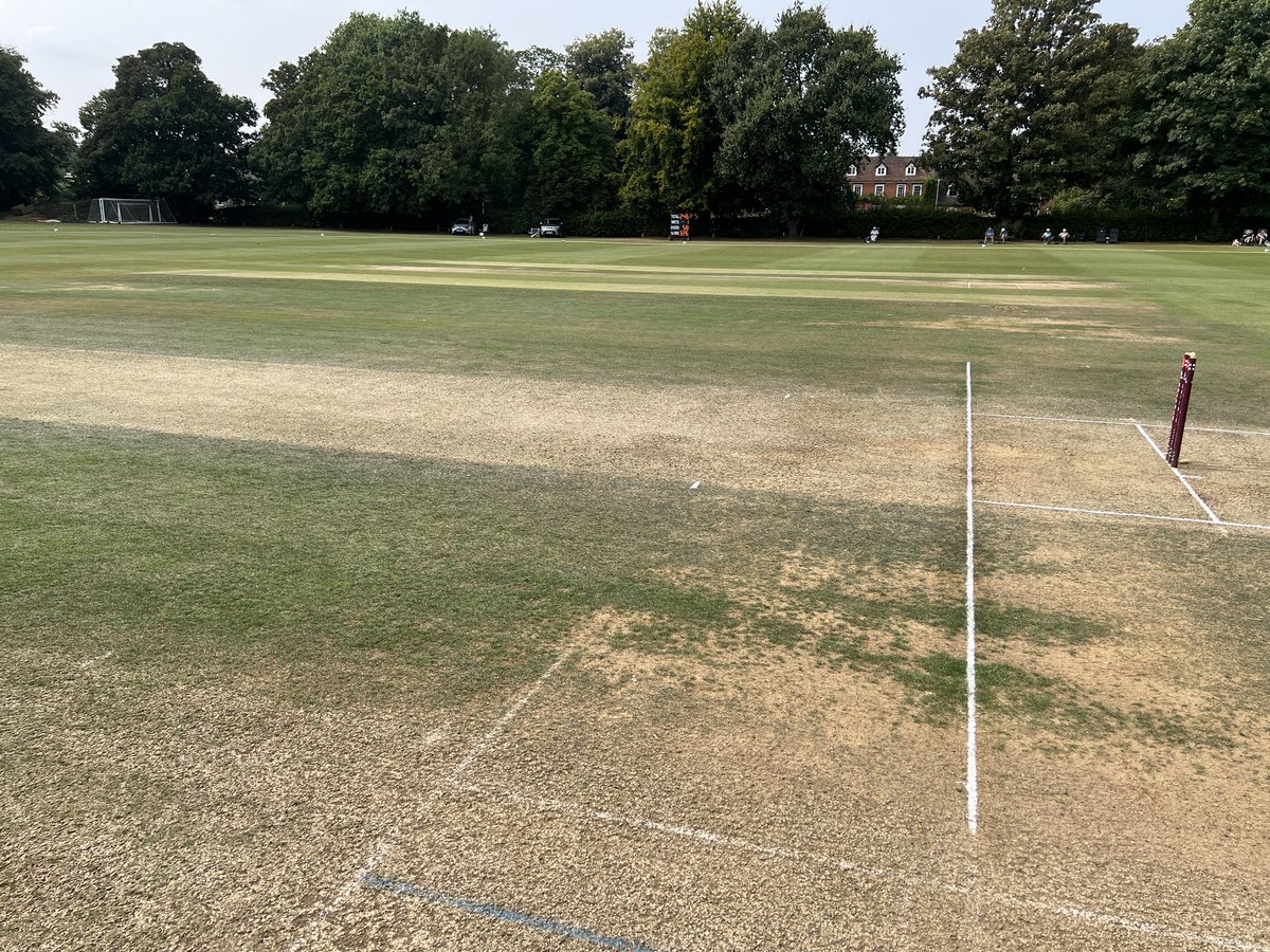 Lunch on day 2 for <a href="/suffolkcricket/">Suffolk Cricket ❤️🏏</a> v <a href="/LincsCricket/">Lincolnshire Cricket</a> in the <a href="/NCCA_uk/">NCCA (National Counties Cricket Association)</a> 3day championship. A few former Test and County legends including <a href="/Nickyboje73/">Nicky Boje</a> <a href="/ToppersSnr/">Don Topley (Toppers)</a> gathering for lunch with <a href="/RayEast1/">Ray East</a> - yesterday we even had a visit from grounders royalty <a href="/Elizabe14194193/">Elizabeth</a>!