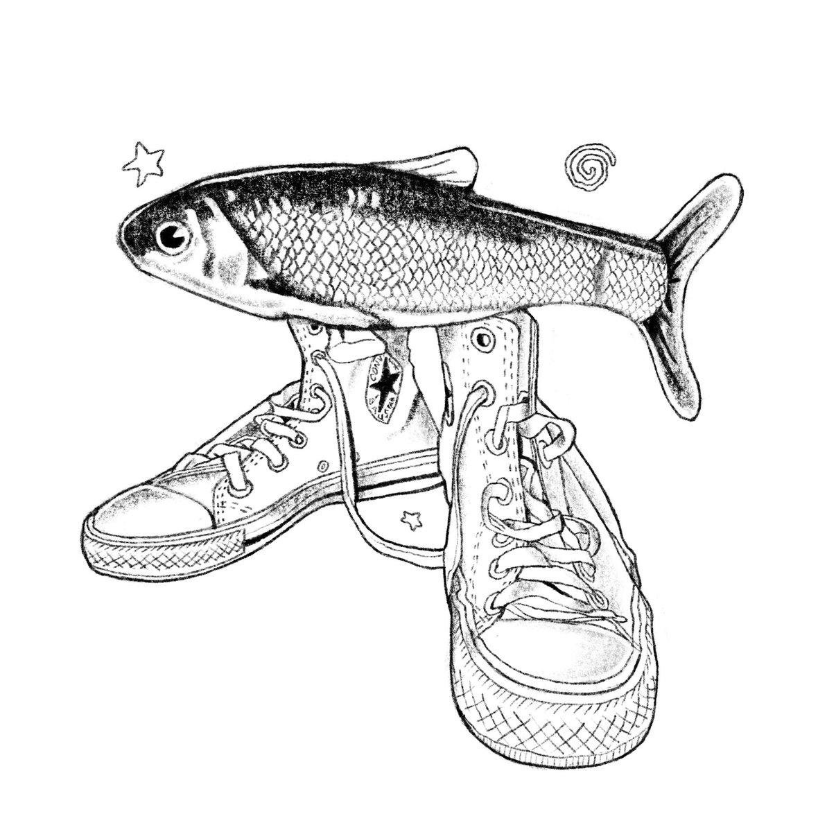Fish in converse
