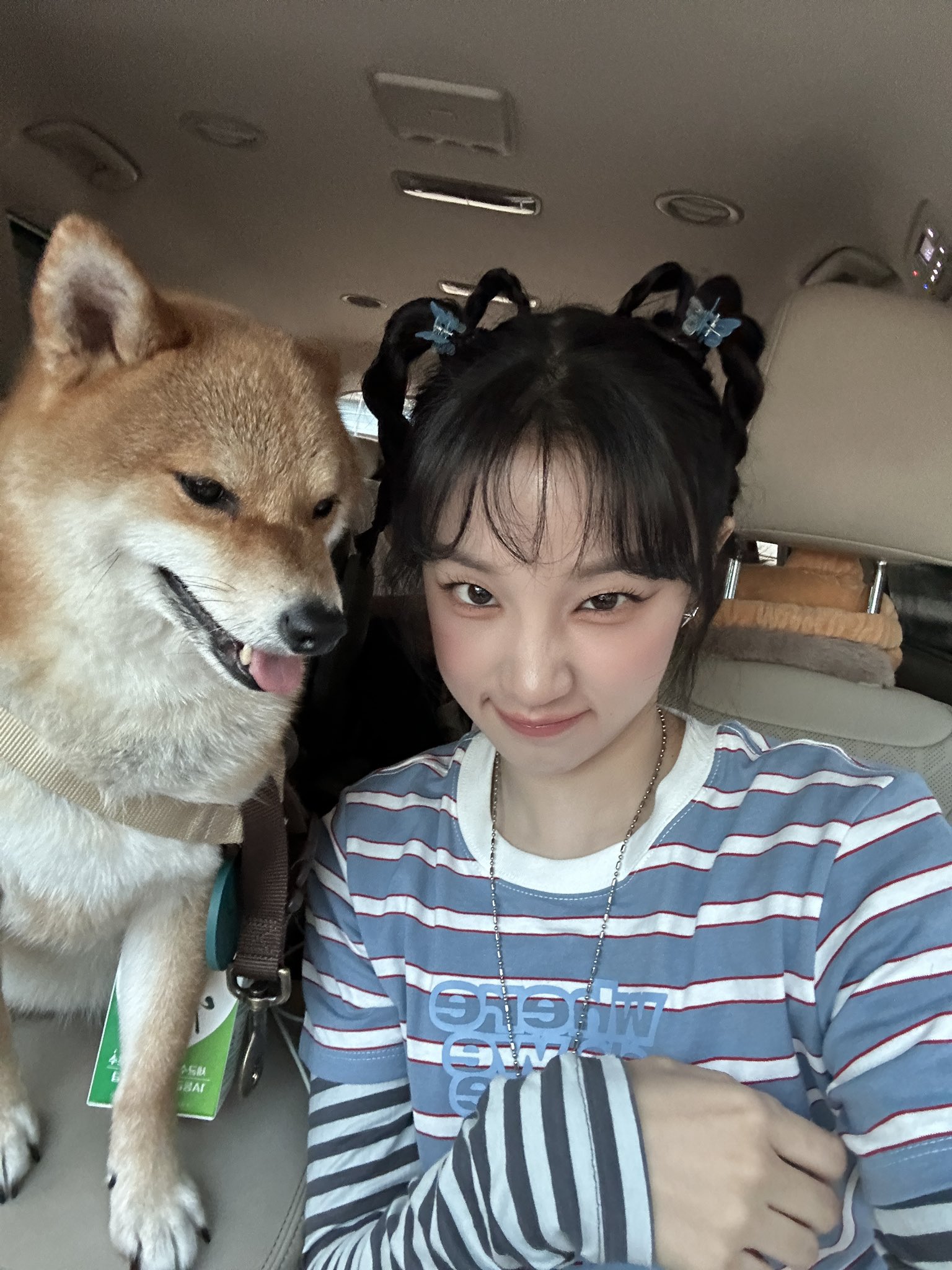 옆에 있는 강아지가 더 점잖아 보이는 투샷.jpg | 인스티즈
