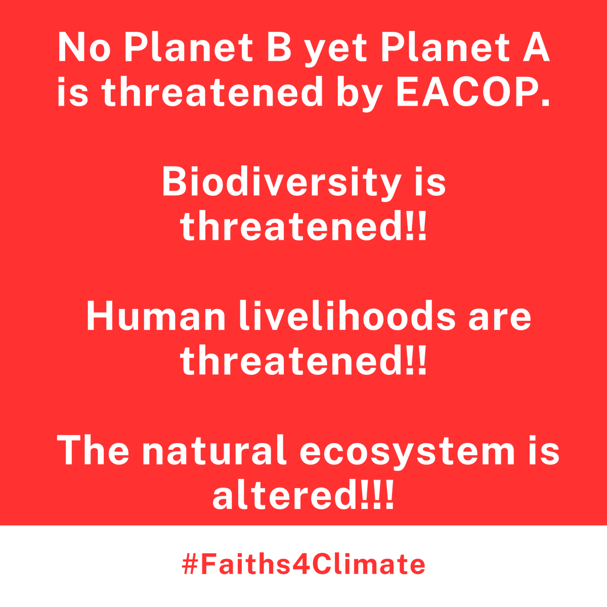 ALIYU SADIQ  tweet media