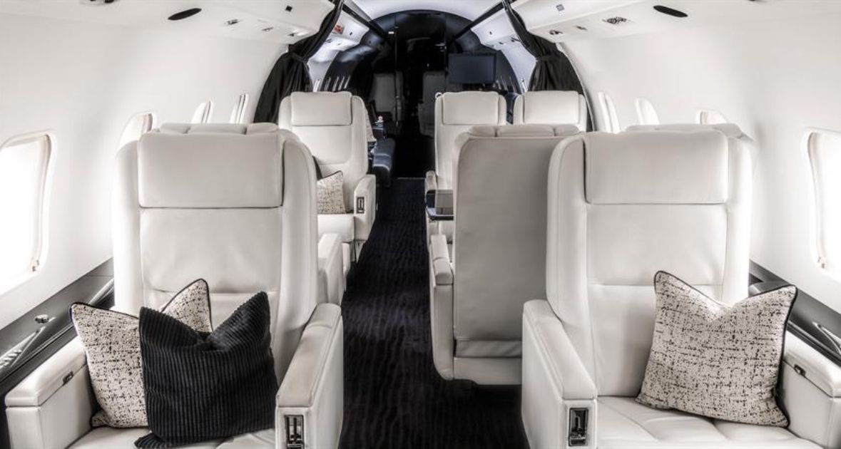 Becca MacLarty tweet media