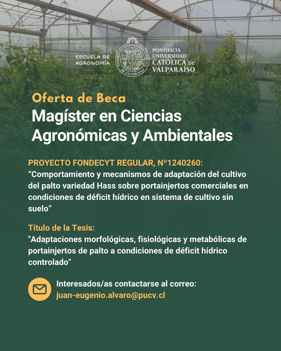 🔍 ¡Beca para Magíster!

Participa en el proyecto Fondecyt N°1240260, que investiga la adaptación de portainjertos de palto variedad Hass al déficit hídrico en sistemas sin suelo. 

🔗Oferta completa: acesse.one/so9yT

Interesados/as escribir a juan-eugenio.alvaro@pucv.cl.