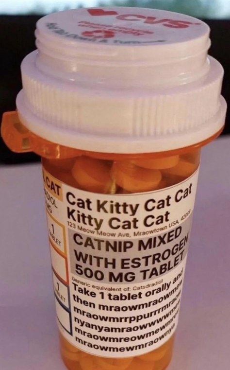 Egg_irl_bot's tweet photo. egg💊irl #Transfem Meme https://t.co/Fub02X9BlR https://t.co/tru22mrNhI
