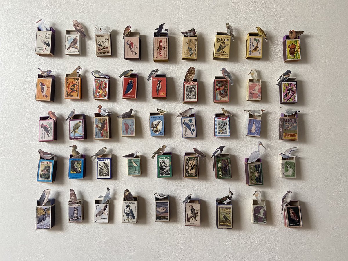Birdland, 45 matchboxes with birds is now on show at the lovely Frank in Harbour Street, Whitstable.