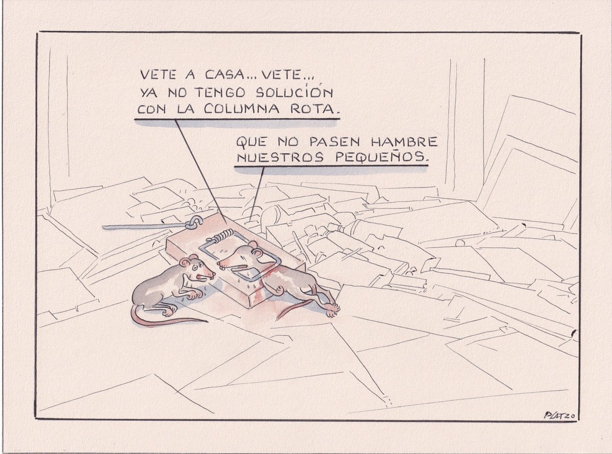 La vida de cualquier ser es sagrada... un regalo recibido del Creador.