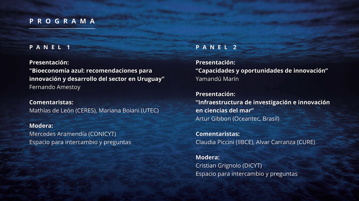 Conversatorio "Agenda de I+D+i en #BioeconomíaAzul"

#MAÑANA 20 AGO 9 h en Salón de Actos de
<a href="/IIBCE/">Instituto Clemente Estable</a>

Registro previo en forms.gle/xCB4LXEhBLfQ8P…