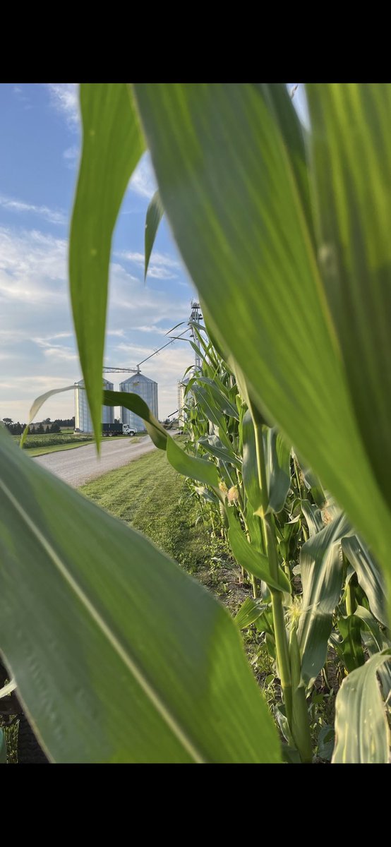 Bowling Green Farms tweet media