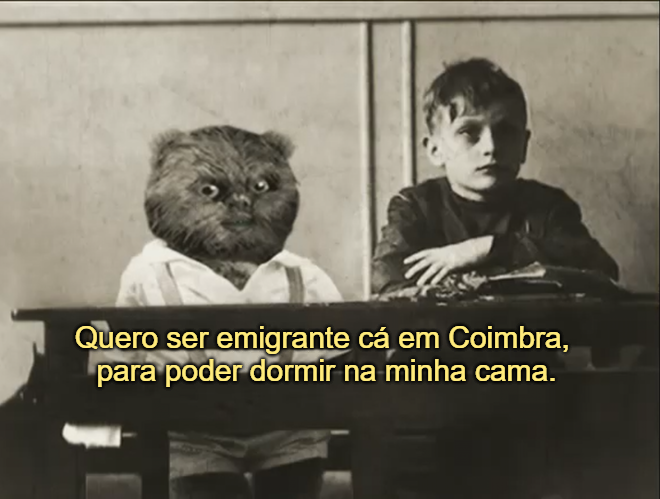 Nosso querido mês de agosto