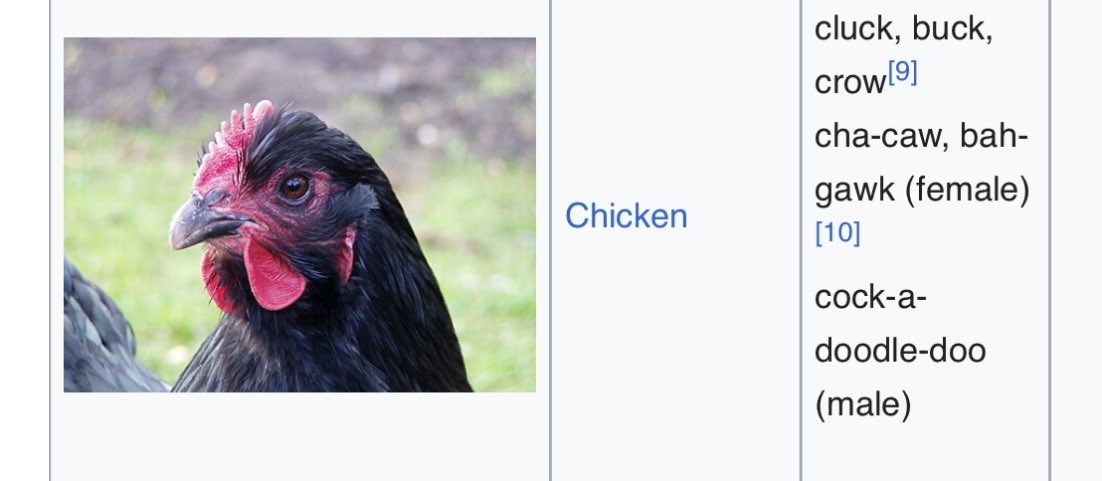 Its_FarisA's tweet photo. @AdamKoszary @depthsofwiki Who knew there were so many ways to speak chicken? https://t.co/c0f1Q4rBuR