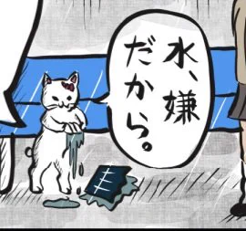 @ta_ta_ha_ha それがですね…😅 