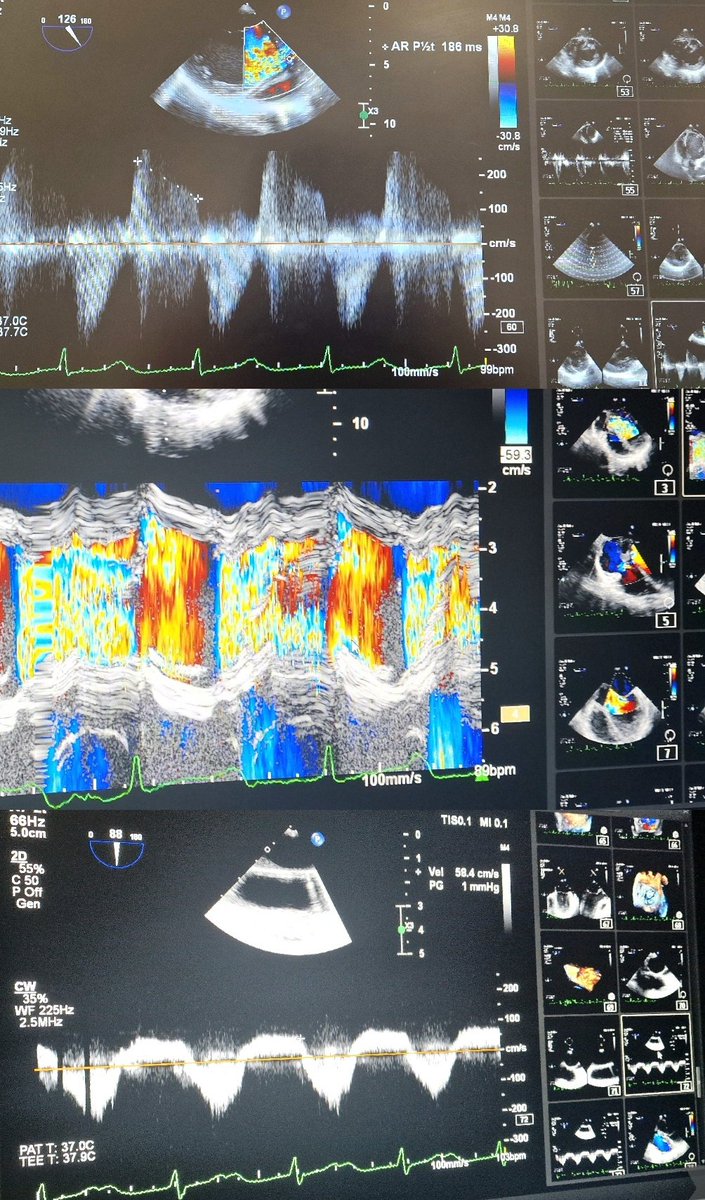 Peter Sherren tweet media