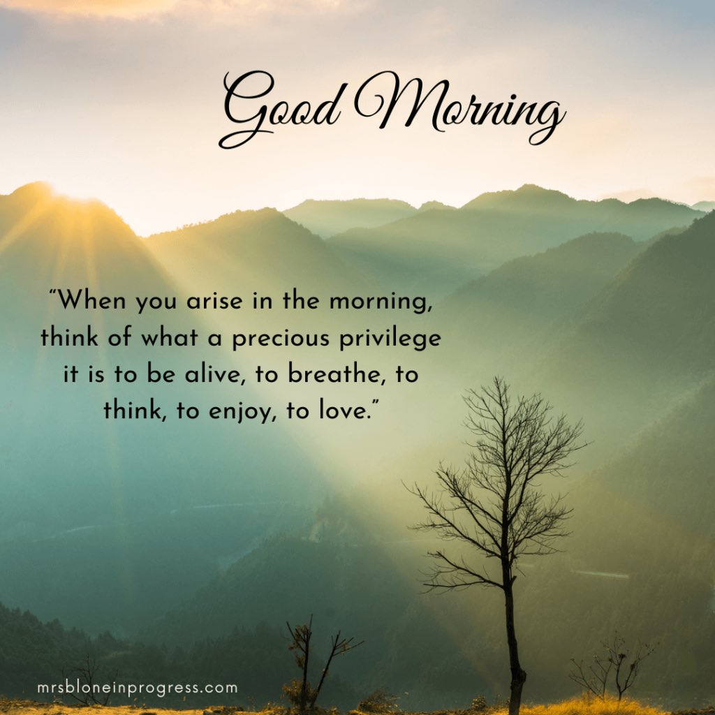 martymillionz's tweet image. A reminder! #begrateful