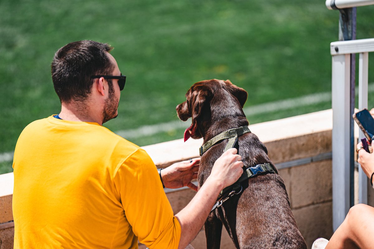 Consider this our formal petition to make every day dog day 🐶😍

#HailWV