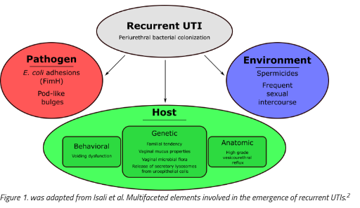 UroToday.com (@urotoday) on Twitter photo Recurrent urinary tract infection genetic risk: a systematic review and gene network analysis. #BeyondTheAbstract with <a href="/IlahaIsali/">Ilaha Isali</a>, <a href="/Thomas_R_Wong/">Thomas Wong</a>, <a href="/HijazAdonis/">Adonis Hijaz</a>, and David Sheyn <a href="/UHhospitals/">University Hospitals</a> > bit.ly/3KTi8bT Recurrent urinary tract infection genetic risk: a systematic review and gene network analysis. #BeyondTheAbstract with <a href="/IlahaIsali/">Ilaha Isali</a>, <a href="/Thomas_R_Wong/">Thomas Wong</a>, <a href="/HijazAdonis/">Adonis Hijaz</a>, and David Sheyn <a href="/UHhospitals/">University Hospitals</a> > bit.ly/3KTi8bT