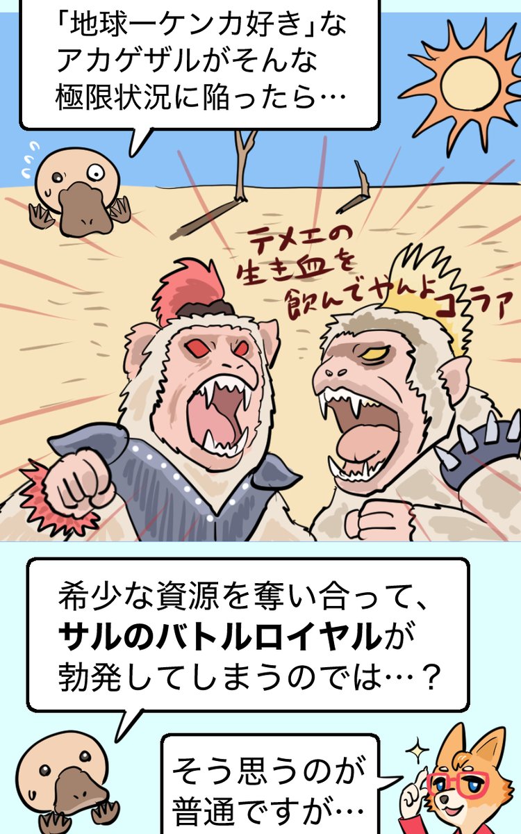 #いきものニューストゥーン 2話ぶん更新しました! おまけのサメ&サル知識も描いたので見てね
コカインシャーク回↓
https://t.co/XdyI19I3cU
ハリケーンさる回↓
https://t.co/s5WNRDG4Vf 