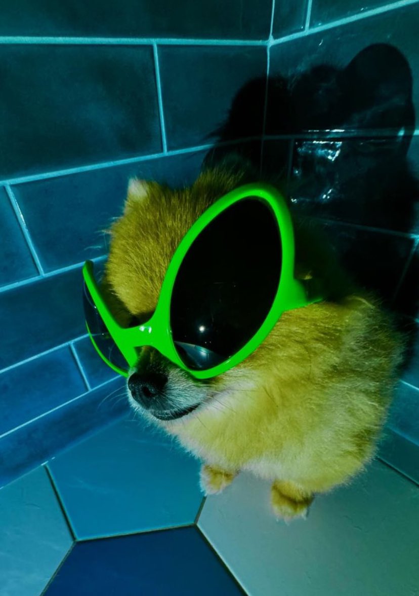 twaniimals's tweet image. 👽