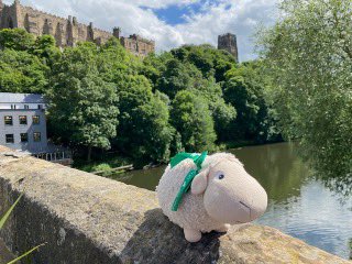 ni_re's tweet photo. It was so wonderful meeting the #narrowboatexpats with Sheepums and #narrowboatlifeunlocked Paul and Anthony https://t.co/5iOeFz0ahr