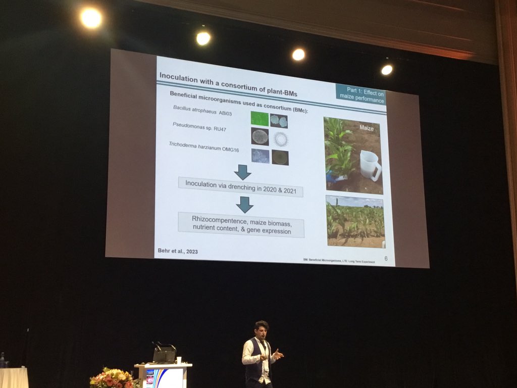 Ioannis using a three member cross-kingdom consortium to test influence on maize drought symptoms and microbiome
#ISME19