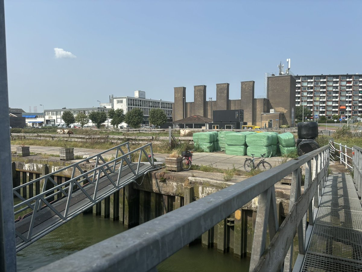 Caroline van der Plas tweet media