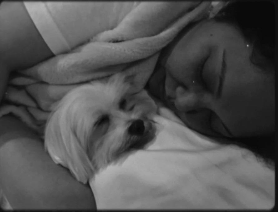 DiamondStarNews's tweet photo. Run free Bela. Thanks for unconditionally loving your Mama while you were here on earth. 

“A dog is the only thing on earth that loves you more than yourself.” - Josh Billings https://t.co/i099R08Pol