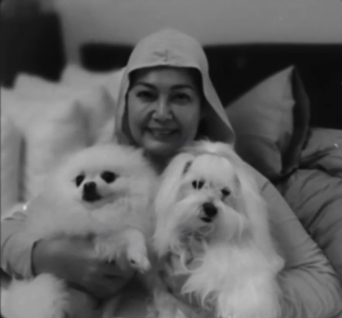 DiamondStarNews's tweet photo. Run free Bela. Thanks for unconditionally loving your Mama while you were here on earth. 

“A dog is the only thing on earth that loves you more than yourself.” - Josh Billings https://t.co/i099R08Pol