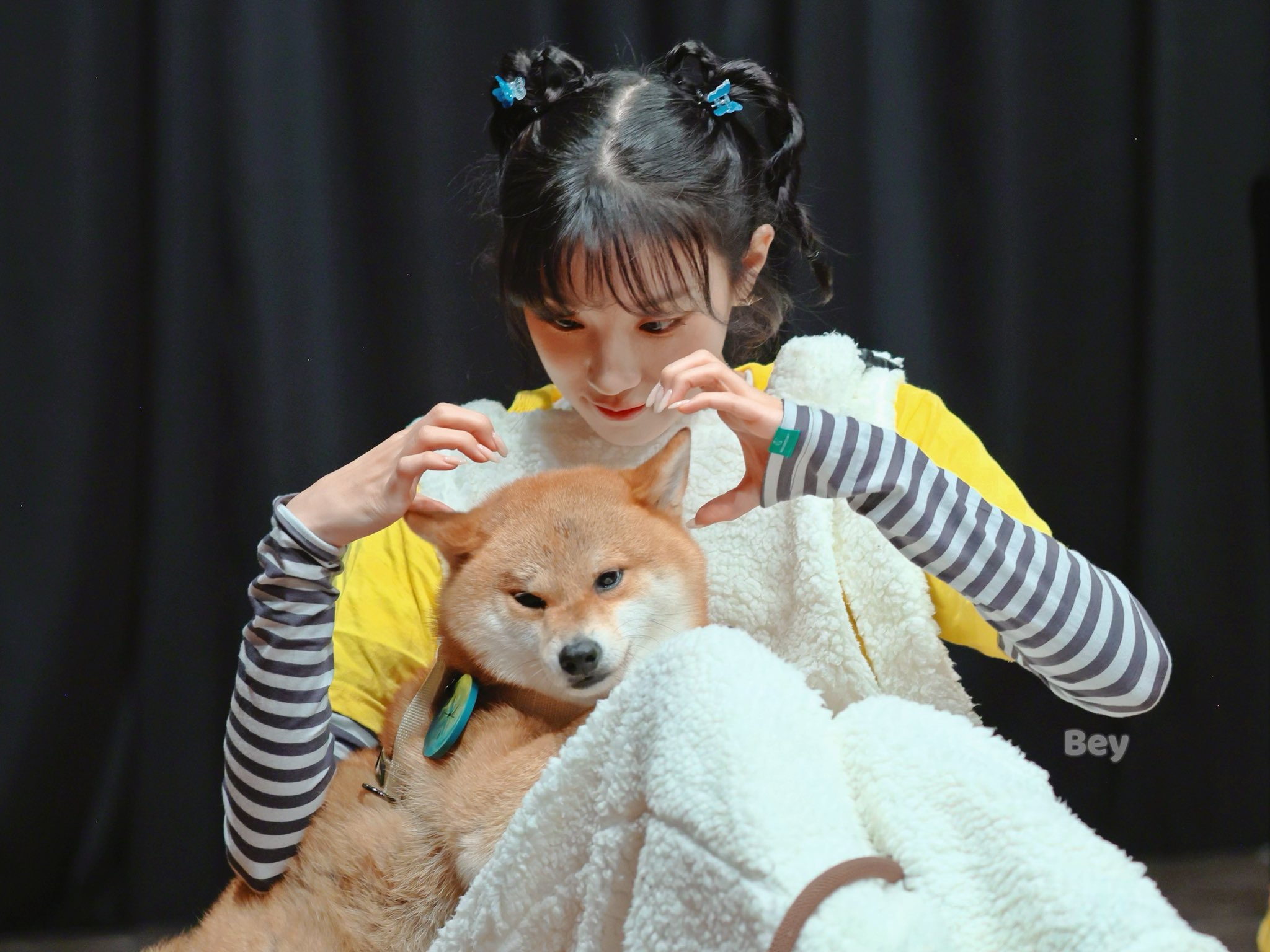 옆에 있는 강아지가 더 점잖아 보이는 투샷.jpg | 인스티즈
