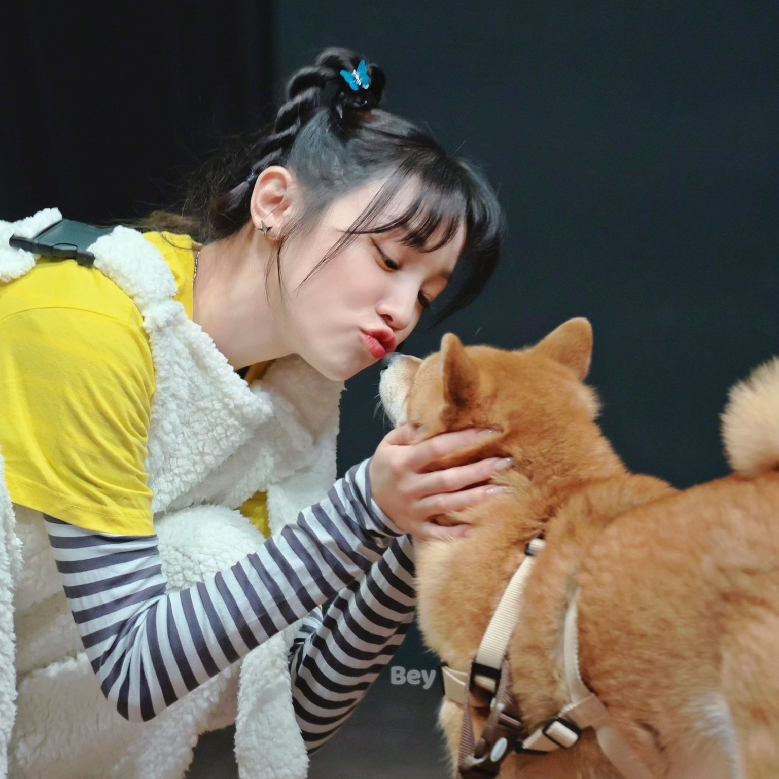 옆에 있는 강아지가 더 점잖아 보이는 투샷.jpg | 인스티즈