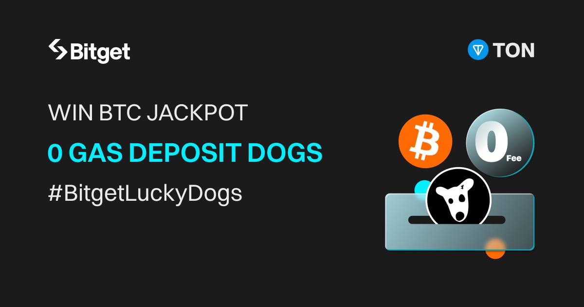 CryptoBourse_'s tweet image. 🚨 Announcement 🚨

Thrilling News #BitgetLuckyDogs!

You can now withdraw your $DOGS and deposit them on Bitget &quot;with no GAS fees&quot; required! 🐶 Woof Woof!! 🐶

Here’s how you can do it:

1️⃣ Open the DOGS TG mini program, then click on &quot;Deposit to Exchanges.&quot;

2️⃣ Select…