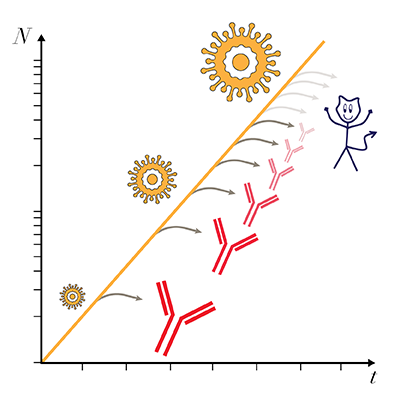 Physical Review X (@physrevx) on Twitter photo A new analysis identifies a specific molecular recognition process that allows B cells in the human immune system to produce a potent, specific, and fast response during acute infections.
Read go.aps.org/4fQiOwM
<a href="/R_MoranTovar/">Roberto Morán-Tovar</a> <a href="/UniCologne/">Universität zu Köln</a> #PRXbio #PRXimmunology A new analysis identifies a specific molecular recognition process that allows B cells in the human immune system to produce a potent, specific, and fast response during acute infections.
Read go.aps.org/4fQiOwM
<a href="/R_MoranTovar/">Roberto Morán-Tovar</a> <a href="/UniCologne/">Universität zu Köln</a> #PRXbio #PRXimmunology