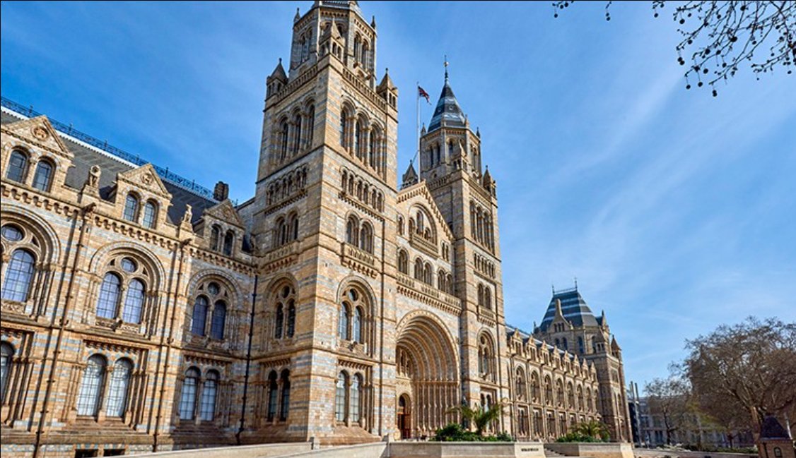 David Redding (@david_w_redding) on Twitter photo Come and work with my amazing team at <a href="/NHM_Science/">Science at the Natural History Museum</a> (London, UK) examining zoonotic diseases in a onehealth context. 2 & 3 yr post-doc positions with a stats modelling and meta-genomics focus respectively: jobs.nhm.ac.uk/Job/JobDetail?… jobs.nhm.ac.uk/Job/JobDetail?…
Closing: 8th Sept 2024 Come and work with my amazing team at <a href="/NHM_Science/">Science at the Natural History Museum</a> (London, UK) examining zoonotic diseases in a onehealth context. 2 & 3 yr post-doc positions with a stats modelling and meta-genomics focus respectively: jobs.nhm.ac.uk/Job/JobDetail?… jobs.nhm.ac.uk/Job/JobDetail?…
Closing: 8th Sept 2024