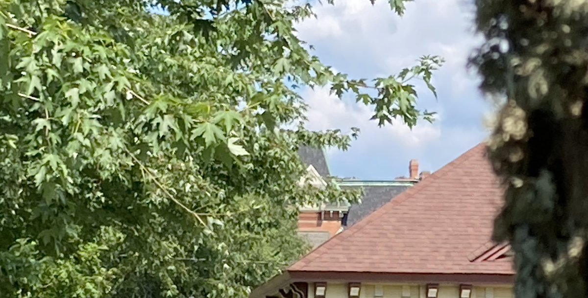 Jacques Poitras tweet media