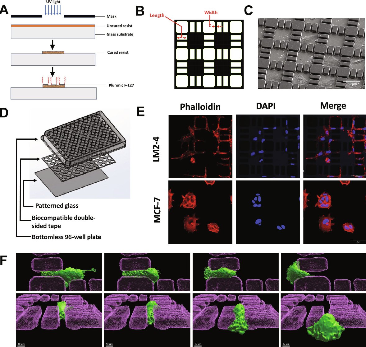 Chad Hobson (@c_m_hobson) on Twitter photo Super pleased to see this paper officially published! <a href="/azeloglu/">Evren U. Azeloglu</a> visited the <a href="/AICjanelia/">AIC at Janelia</a> back in the spring of 2022 to use the MOSAIC and was able to generate some nice data to contribute to this piece.
Read more here: science.org/doi/10.1126/sc… Super pleased to see this paper officially published! <a href="/azeloglu/">Evren U. Azeloglu</a> visited the <a href="/AICjanelia/">AIC at Janelia</a> back in the spring of 2022 to use the MOSAIC and was able to generate some nice data to contribute to this piece.
Read more here: science.org/doi/10.1126/sc…