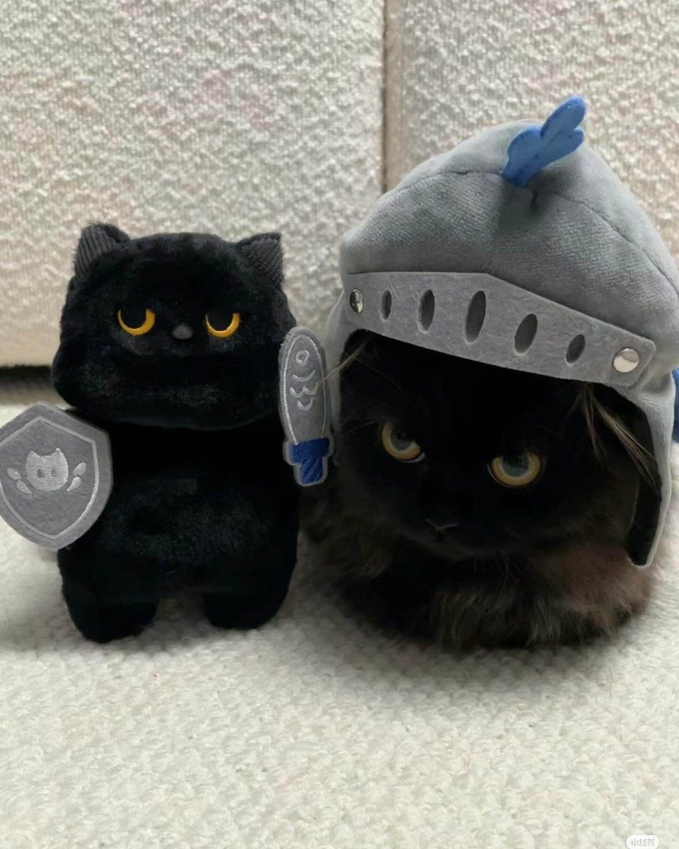 smol knight