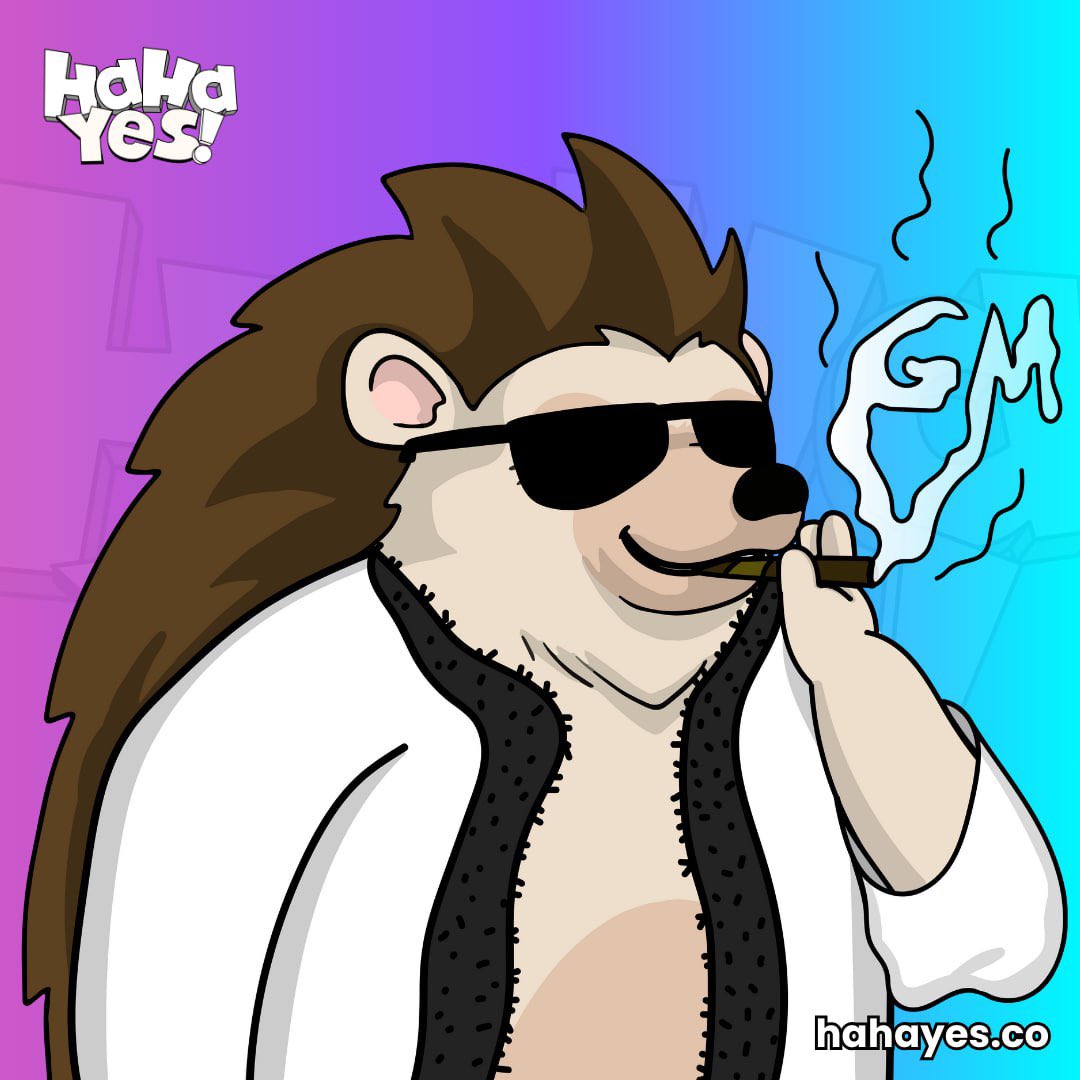 GM! Prepare the victory cigars, Rizhalla is a lot closer than you might think 🦔👀

#HAHAYES