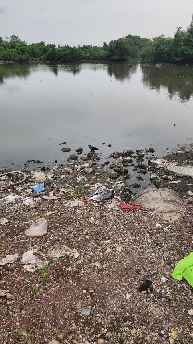 aswin_up96's tweet photo. The pond in Sector 10, Kharghar, Navi Mumbai is filled with waste and causing health issues. Urgent cleanup needed! Please take action. #CleanKharghar #SaveOurPond @CIDCO_Ltd 
@NMMConline @narendramodi 
@swachhbharat @pmo https://t.co/YoKU5yxdCa