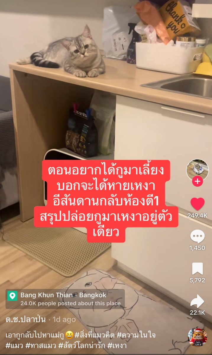 เดย์ ,, tweet media