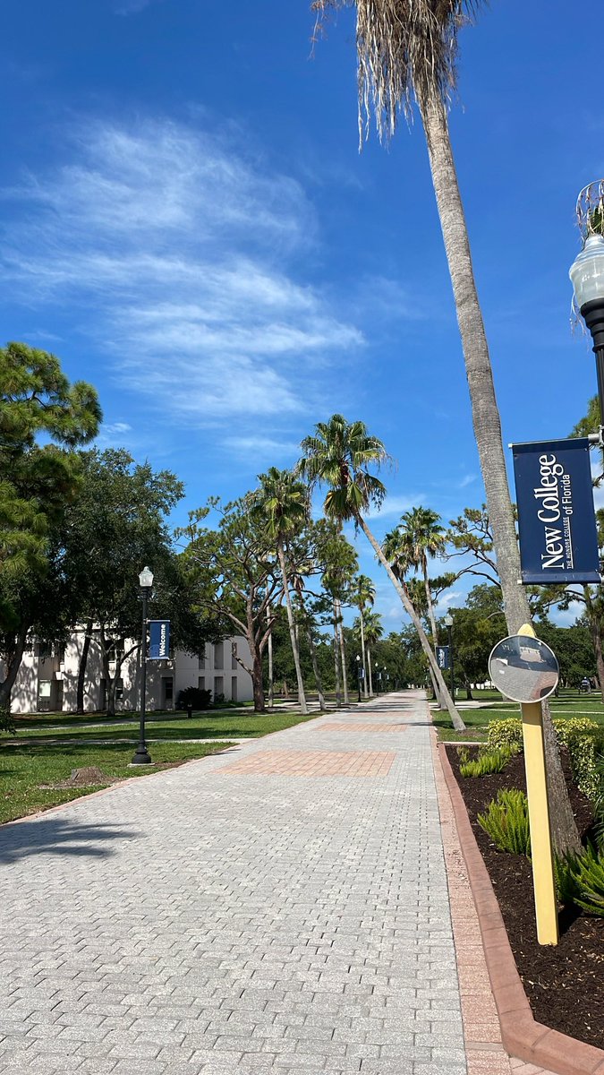 𝙈𝙤𝙣𝙙𝙖𝙮 𝙑𝙞𝙗𝙚𝙨🌴